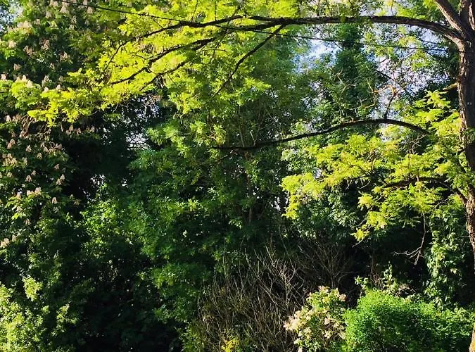 Chateau Fontclaire Сasa de vacaciones Pons